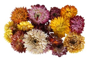 Fleurs séchées (pot-pourri) pour la décoration - 15 g-2