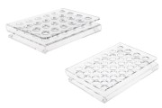 Σταντ (stand) plexiglass 165x120x28 με πόδια σιλικόνης - 24 θέσεων (άνοιγμα τρύπας 15 mm)