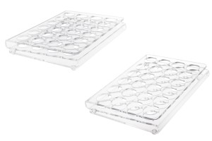 Support en plexiglas 190 x 140 x 28 avec pieds en silicone - 24 positions (ouverture des trous 25 mm)-imazh_produkt