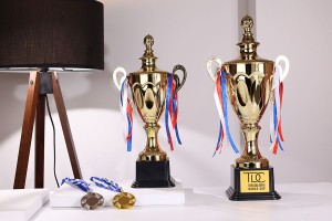 Medaglia senza logo in colore oro o argento-εικόνα_σύνθεση