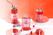 Flacon en plastique (PET) 650 ml transparent avec bouchon en aluminium (nécessite l'utilisation d'une machine à fermer) - 100 pcs Flacon en plastique (PET) 650 ml transparent avec bouchon en aluminium (nécessite l'utilisation d'une machine à fermer) - 100 pcs