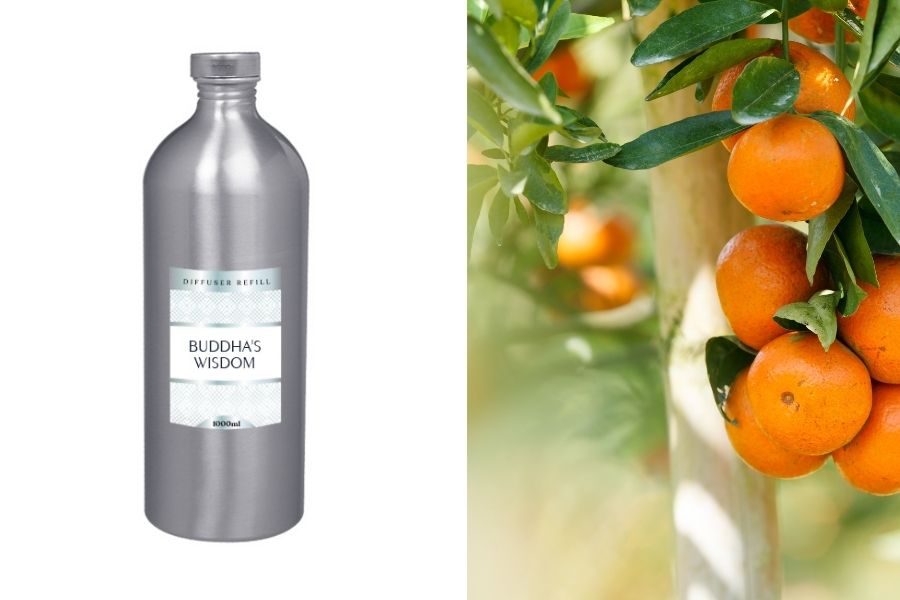 Buddha's wisdom Ανταλλακτικό υγρό αρωματικού χώρου 1000 ml Buddha's wisdom Ανταλλακτικό υγρό αρωματικού χώρου 1000 ml