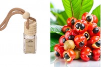 Désodorisant pour voiture au guarana 4 ml - 5 pièces