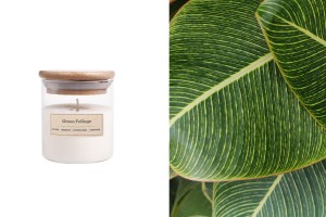 Green Foliage Αρωματικό κερί σόγιας με βαμβακερό φυτίλι (110gr)-εικόνα_προϊοντική