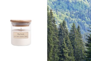 Pine Forest Duftende Sojakerze mit Holzdocht (110 gr)-1