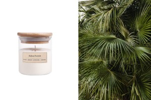 Asian Forest Bougie de soja aromatique avec mèche en bois (110gr)-εικόνα_προϊοντική