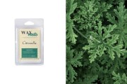 Wax melts with Citronella aroma (75gr)