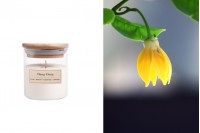 Ylang-ylang Aromatic soy candle with cotton wick (110gr)