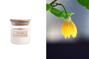 Ylang-ylang Bougie de soja aromatique avec mèche en bois (110gr)-1