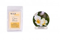 Wax melts with Citrus Bloom scent (75gr)