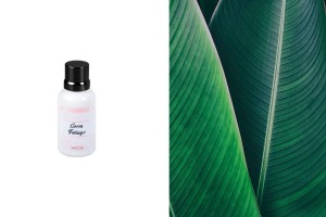 Green Foliage Aromaöl 30ml-εικόνα_προϊοντική