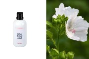 White Woody Musk Αρωματικό έλαιο 100 ml