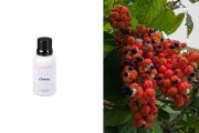 Guarana αρωματικό έλαιο 30 ml