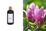 Αρωματικό έλαιο 100 ml 7710065-100
