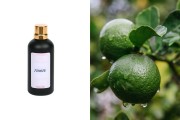 Αρωματικό έλαιο 100 ml 7710073-100