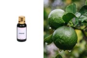 Αρωματικό έλαιο 30 ml 7710073-30
