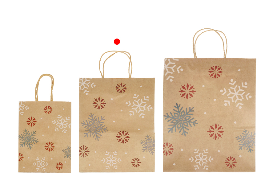 Sac cadeau en papier de Noël dimensions 210x110x270 mm - 12 pièces Sac cadeau en papier de Noël dimensions 210x110x270 mm - 12 pièces-photo_groupe