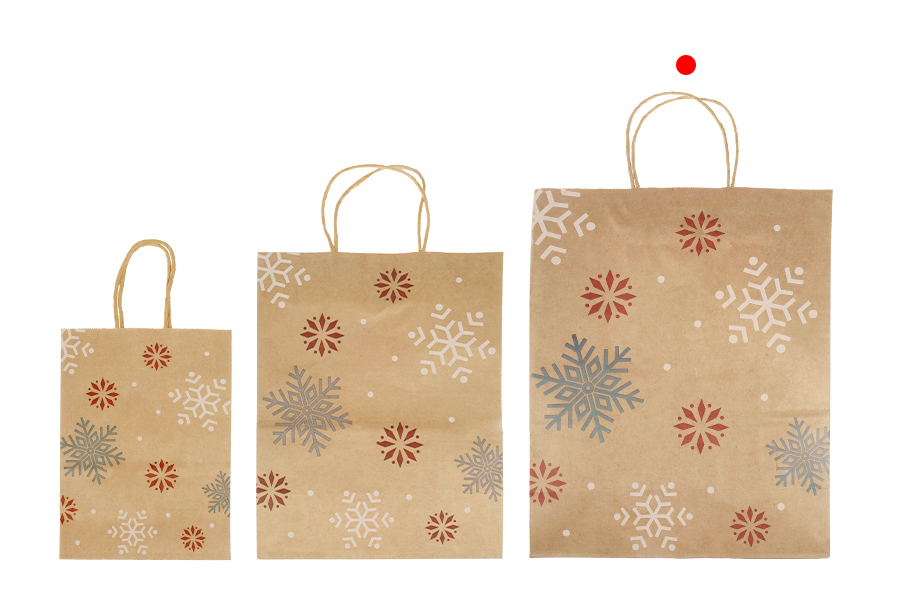 Sac cadeau en papier de Noël dimensions 260x120x320 mm - 12 pièces Sac cadeau en papier de Noël dimensions 260x120x320 mm - 12 pièces-photo_groupe