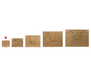 Sac cadeau en papier marron avec cordon torsadé 145 x 60 x 115 mm - 12 pcs-photo_groupe