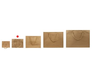 Sac cadeau en papier marron avec cordon torsadé 200 x 60 x 150 mm - 12 pcs-photo_groupe