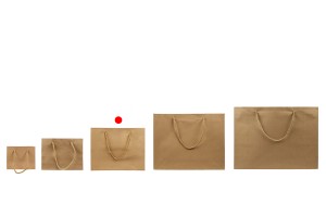 Sac cadeau en papier marron avec cordon torsadé 250 x 90 x 200 mm - 12 pcs-photo_groupe