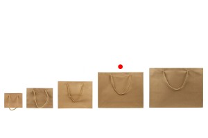 Sac cadeau en papier marron avec cordon torsadé 340 x 90 x 270 mm - 12 pcs-photo_groupe