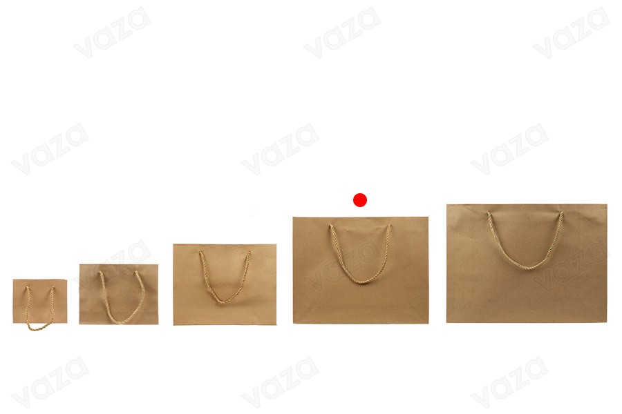 Sac cadeau en papier marron avec cordon torsadé 340 x 90 x 270 mm - 12 pcs Sac cadeau en papier marron avec cordon torsadé 340 x 90 x 270 mm - 12 pcs-photo_groupe