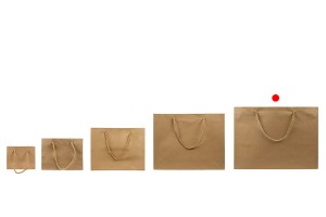 Sac cadeau en papier marron avec cordon torsadé 400 x 130 x 300 mm - 12 pcs-photo_groupe