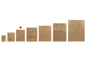 Sac cadeau en papier marron avec cordon torsadé 150 x 60 x 200 mm - 12 pcs-εικόνα_σύνθεση
