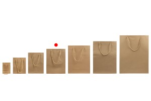Sac cadeau en papier marron avec cordon torsadé 190 x 80 x 245 mm - 12 pcs-εικόνα_σύνθεση