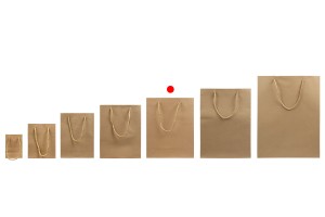 Sac cadeau en papier marron avec cordon torsadé 220 x 90 x 280 mm - 12 pcs-εικόνα_σύνθεση