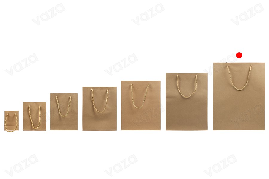 Brown paper gift bag with twisted rope handle in size 280x100x370 mm - 12 pcs Brown paper gift bag with twisted rope handle in size 280x100x370 mm - 12 pcs-image_group