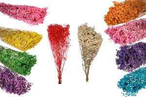 Fleurs décoratives séchées - bouquet de 100 g-εικόνα_προϊοντική