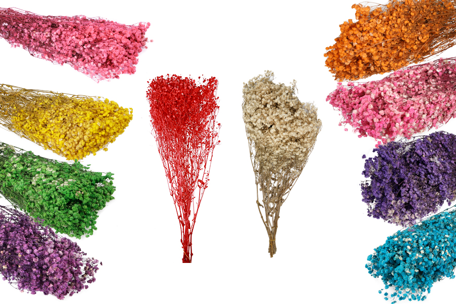 Getrocknete dekorative Blumen - Strauß 100 g Getrocknete dekorative Blumen - Strauß 100 g-produktbild