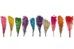 Fleurs décoratives séchées - bouquet de 100 g-εικόνα_σύνθεση