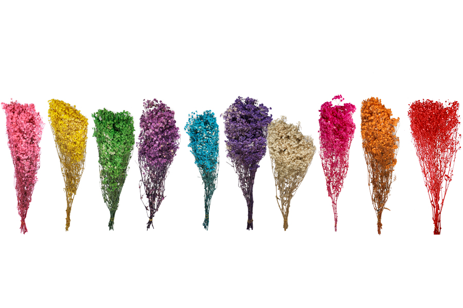Dried decorative flowers - bouquet 100 g-image_group