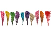 Getrocknete dekorative Blumen - Strauß 100 g Getrocknete dekorative Blumen - Strauß 100 g-bildgruppe