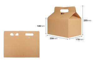 Kofferverpackungskarton 250 x 170 x 255 mm aus Kraftpapier mit verstärktem Boden – 20 Stück-εικόνα_διαστάσεις