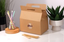 Kofferverpackungskarton 250 x 170 x 255 mm aus Kraftpapier mit verstärktem Boden – 20 Stück Kofferverpackungskarton 250 x 170 x 255 mm aus Kraftpapier mit verstärktem Boden – 20 Stück-εικόνα_σύνθεση
