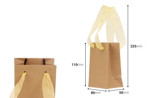 Geschenktüte 80x50x110 Papier, Kraft mit Griff - 20 Stk-εικόνα_διαστάσεις