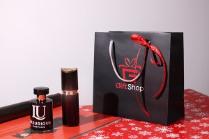 Sac cadeau noir laminé avec poignée en corde torsadée argentée, dimensions 220 x 90 x 210 mm-εικόνα_σύνθεση