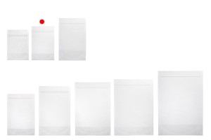 Sachets de type Doypack 100 x 30 x 150 mm transparents avec fermeture zip et possibilité de fermeture par thermoscellage - 100 pcs-photo_groupe