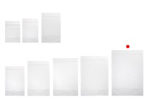 Sachets de type Doypack 200 x 50 x 295 mm transparents avec fermeture zip et possibilité de fermeture par thermoscellage - 100 pcs Sachets de type Doypack 200 x 50 x 295 mm transparents avec fermeture zip et possibilité de fermeture par thermoscellage - 100 pcs-photo_groupe