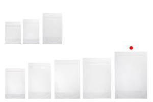 Sachets de type Doypack 200 x 50 x 295 mm transparents avec fermeture zip et possibilité de fermeture par thermoscellage - 100 pcs-photo_groupe