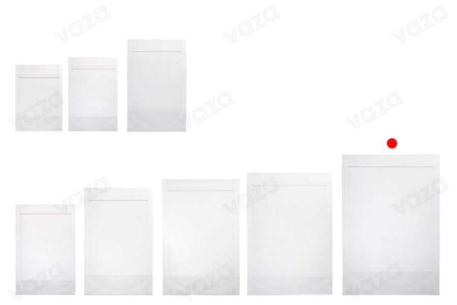 Sachets de type Doypack 200 x 50 x 295 mm transparents avec fermeture zip et possibilité de fermeture par thermoscellage - 100 pcs Sachets de type Doypack 200 x 50 x 295 mm transparents avec fermeture zip et possibilité de fermeture par thermoscellage - 100 pcs-photo_groupe