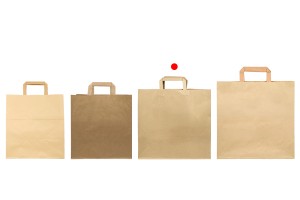 Paper bag with flat handle in earthy color and dimensions 320x170x310 mm-photo_groupe