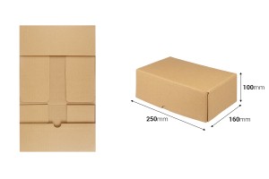 Boîte en carton 250x160x100 mm 3 couches à assemblage automatique - 10 pièces-2