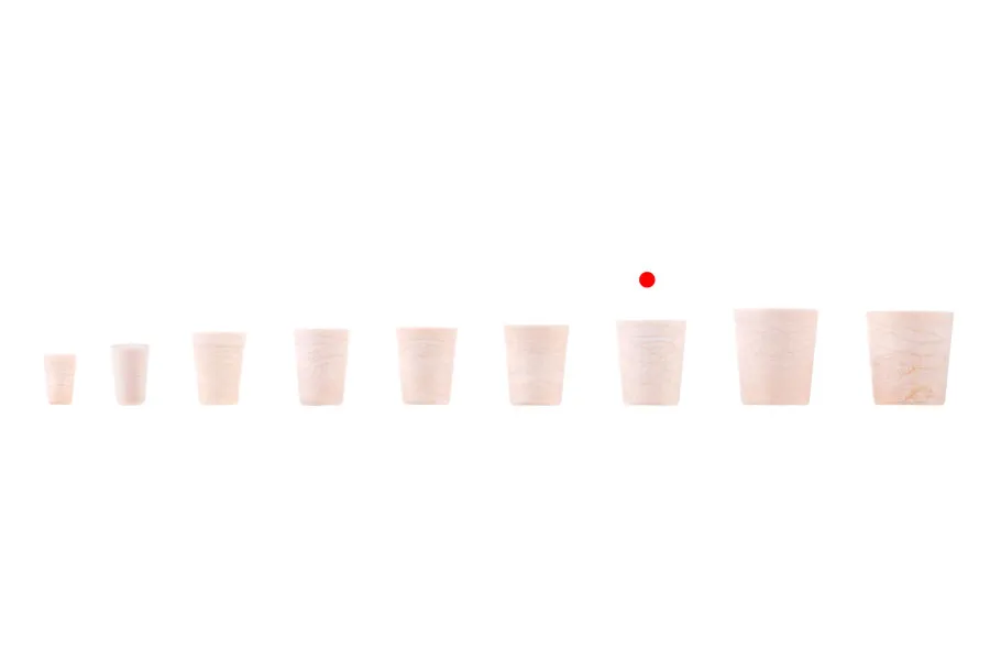 Liège conique en silicone aux dimensions 29 x 23,8/19,2 mm - pour F 21 Liège conique en silicone aux dimensions 29 x 23,8/19,2 mm - pour F 21