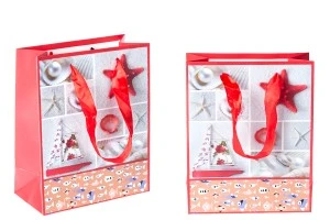 Sac cadeau plastifié avec poignée en satin 170 x 85 x 210 mm-7
