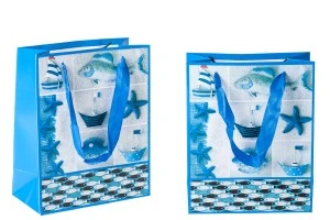 Sac cadeau plastifié avec poignée en satin 170 x 85 x 210 mm-9